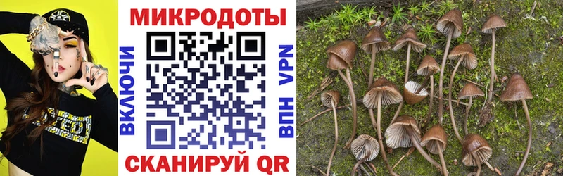 Галлюциногенные грибы Magic Shrooms  Купить  Мостовской